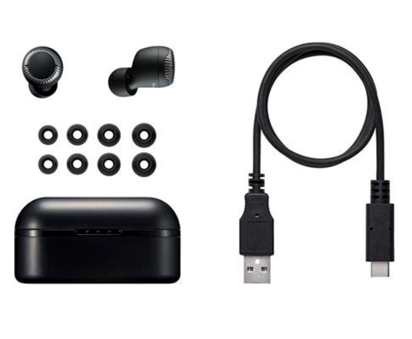 NEW Panasonic RZ-S300W True Wireless Earphones - Black